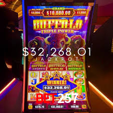 Crash Games Strategies bet257