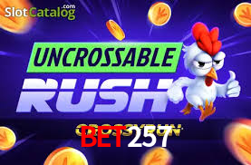bet257 App Interface